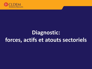 Diagnostic:
forces, actifs et atouts sectoriels
 