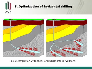 5. Optimization of horizontal drilling 
Field completion with multi- and single-lateral wellbore 
 