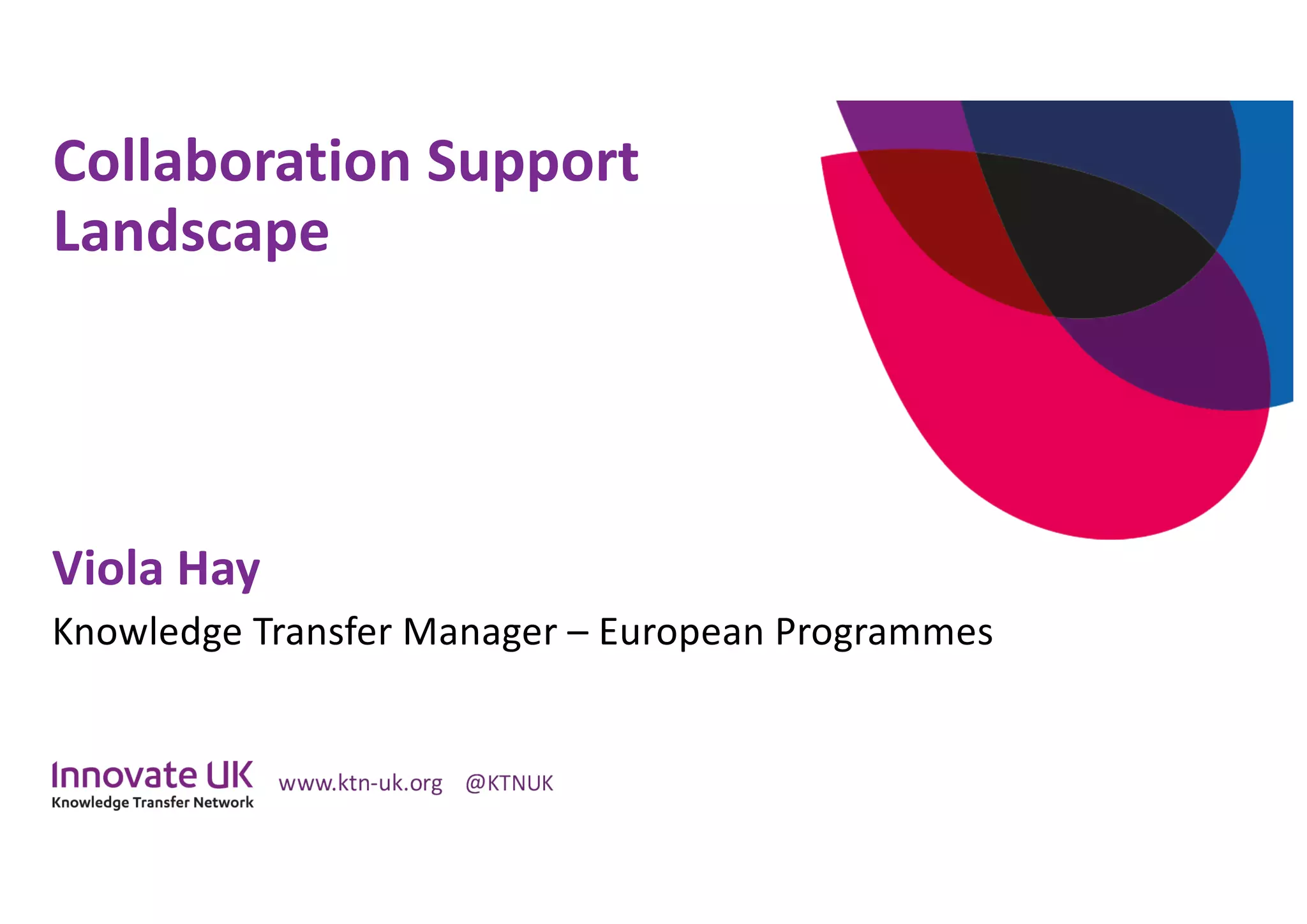 Collaboration Support
Landscape
Viola Hay
Knowledge Transfer Manager – European Programmes
 