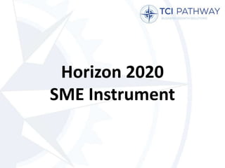 Horizon 2020
SME Instrument
 