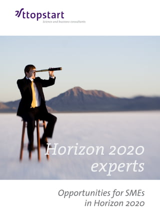 Opportunities for SMEs
in Horizon 2020
Horizon 2020
experts
 