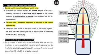 horizontal fracture .pdf