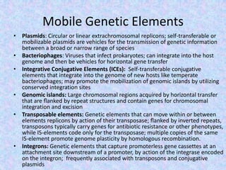 Mobile Genetic Elements
• Plasmids: Circular or linear extrachromosomal replicons; self-transferable or
mobilizable plasmids are vehicles for the transmission of genetic information
between a broad or narrow range of species
• Bacteriophages: Viruses that infect prokaryotes; can integrate into the host
genome and then be vehicles for horizontal gene transfer
• Integrative Conjugative Elements (ICEs): Self-transferable conjugative
elements that integrate into the genome of new hosts like temperate
bacteriophages; may promote the mobilization of genomic islands by utilizing
conserved integration sites
• Genomic islands: Large chromosomal regions acquired by horizontal transfer
that are ﬂanked by repeat structures and contain genes for chromosomal
integration and excision
• Transposable elements: Genetic elements that can move within or between
elements replicons by action of their transposase; ﬂanked by inverted repeats,
transposons typically carry genes for antibiotic resistance or other phenotypes,
while IS-elements code only for the transposase; multiple copies of the same
IS-element promote genome plasticity by homologous recombination.
• Integrons: Genetic elements that capture promoterless gene cassettes at an
attachment site downstream of a promoter, by action of the integrase encoded
on the integron; frequently associated with transposons and conjugative
plasmids
 