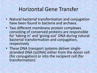 Horizontal Gene Transfer
• Natural bacterial transformation and conjugation
have been found in bacteria and archaea.
• Two different membrane protein complexes
consisting of conserved proteins are responsible
for ‘taking in’ and ‘giving out’ DNA during natural
bacterial transformation and conjugation,
respectively
• These DNA transport systems deliver single-
stranded DNA (ssDNA) either from the donor cell
(for conjugation) or into the recipient cell (for
transformation)
 