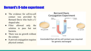 Bernard's U-tube experiment
● The evidence for cell-to-cell
contact was provided by
Bernard Davis who built a U
shaped tube.
● Filter allowed only the
solution to pass but not
bacteria.
● There was no growth without
the contact.
● It proved conjugation requires
physical contact.
 