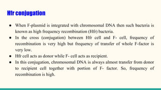 Hfr conjugation
● When F-plasmid is integrated with chromosomal DNA then such bacteria is
known as high frequency recombination (Hfr) bacteria.
● In the cross (conjugation) between Hfr cell and F- cell, frequency of
recombination is very high but frequency of transfer of whole F-factor is
very low.
● Hfr cell acts as donor while F- cell acts as recipient.
● In this conjugation, chromosomal DNA is always almost transfer from donor
to recipient cell together with portion of F- factor. So, frequency of
recombination is high.
 