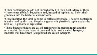•Other bacteriophages do not immediately kill their host. Many of these
viruses enter the host bacterium and, instead of replicating, insert their
genomes into the bacterial chromosome.
•Once inserted, the viral genome is called a prophage. The host bacterium
is unharmed by this, and the phage genome is passively replicated as the
host cell’s genome is replicated.
•These bacteriophages are called temperate bacteriophages and the
relationship between these viruses and their host is called lysogeny.
Bacteria that have been lysogenized are called lysogens.
 