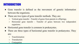 INTRODUCTION
● Gene transfer is defined as the movement of genetic information
between the organisms.
● There are two types of gene transfer methods. They are:
○ Vertical gene transfer - Transfer of genes from parents to offsprings.
○ Horizontal gene transfer - Transfer of genes between two independent
organisms.
● Horizontal gene transfer is common in prokaryotes.
● There are three types of horizontal gene transfer in prokaryotes. They
are:
○ Transformation
○ Transduction
○ Conjugation
 