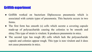 Griffith experiment
● Griffith worked on bacterium Diplococcus pneumonia which is
associated with certain types of pneumonia. This bacteria occurs in two
forms.
● The first form has smooth (s) cells which secrete a covering capsule
made-up of polysaccharide causing the colonies to be smooth and
shiny.This type of strain is virulent. It produces pneumonia in mice.
● The second type has rough (R) cells which lack the polysaccharide
capsule and colonies appear rough. This type is non virulent and it does
not cause pneumonia in mice.
 