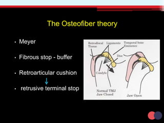 The Osteofiber theory
• Meyer
• Fibrous stop - buffer
• Retroarticular cushion
• retrusive terminal stop
 