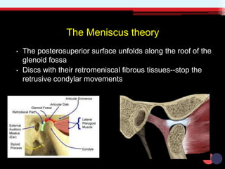 The Meniscus theory
• The posterosuperior surface unfolds along the roof of the
glenoid fossa
• Discs with their retromeniscal fibrous tissues--stop the
retrusive condylar movements
 