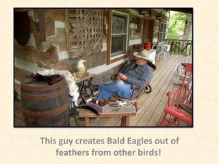 This guy creates Bald Eagles out of feathers from other birds!  