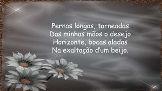 Pernas longas, torneadas
Das minhas mãos o desejo
Horizonte, bocas aladas
Na exaltação d’um beijo.
 