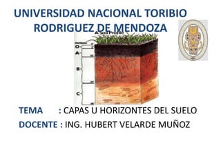 UNIVERSIDAD NACIONAL TORIBIO
RODRIGUEZ DE MENDOZA
TEMA : CAPAS U HORIZONTES DEL SUELO
DOCENTE : ING. HUBERT VELARDE MUÑOZ
 