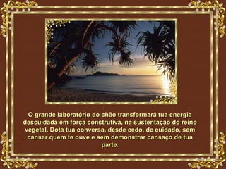 O grande laboratório do chão transformará tua energia
descuidada em força construtiva, na sustentação do reino
vegetal. Dota tua conversa, desde cedo, de cuidado, sem
 cansar quem te ouve e sem demonstrar cansaço de tua
                         parte.
 