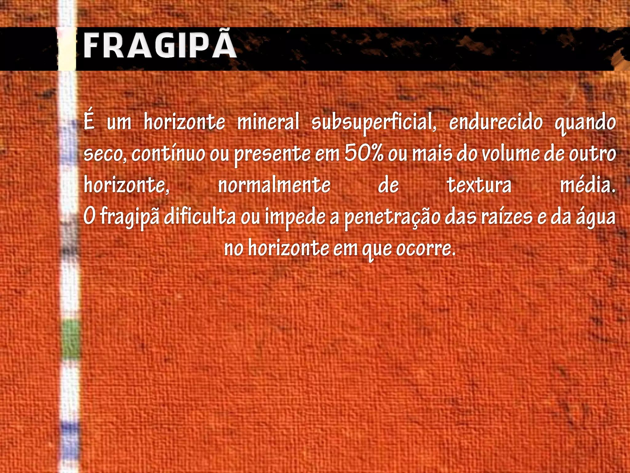 Horizontes Diagnósticos Superficial 