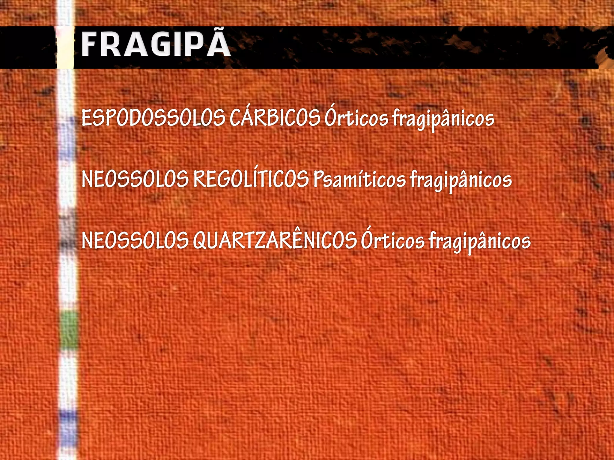 Horizontes Diagnósticos Superficial 