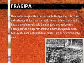 Horizontes Diagnósticos Superficial 