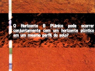 Horizontes Diagnósticos Superficial 