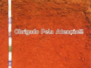 Horizontes Diagnósticos Superficial 