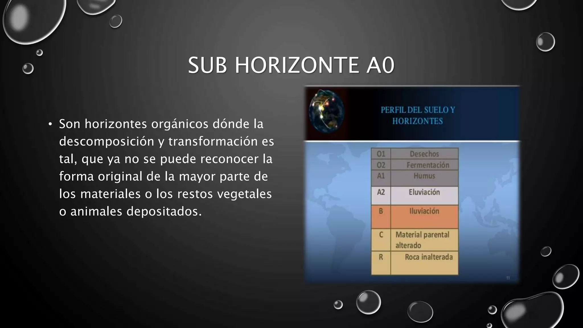 Horizontes y perfiles de suelo | PPTX