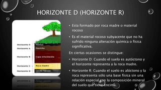 HORIZONTE D (HORIZONTE R)
• Esta formado por roca madre o material
rocoso
• Es el material rocoso subyacente que no ha
sufrido ninguna alteración química o física
significativa.
En ciertas ocasiones se distingue:
• Horizonte D: Cuando el suelo es autóctono y
el horizonte representa a la roca madre.
• Horizonte R: Cuando el suelo es alóctono y la
roca representa sólo una base física sin una
relación especial con la composición mineral
del suelo que tiene encima.
 