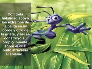 Con toda habilidad apoyó los extremos de la pajita en un borde y otro de la grieta, y así se construyó su propio  puente, sobre el cual pudo atravesar el abismo.  