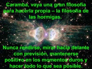 Caramba, vaya una gran filosofía
para hacerla propia – la filosofía de
          las hormigas.




Nunca rendirse, mirar hacia delante
    con previsión, mantenerse
 positivo en los momentos duros y
   hacer todo lo que sea posible.
 