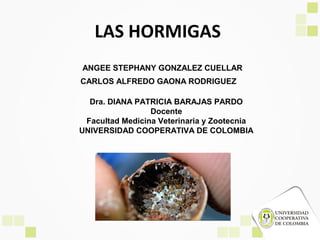 LAS HORMIGAS
ANGEE STEPHANY GONZALEZ CUELLAR
CARLOS ALFREDO GAONA RODRIGUEZ

  Dra. DIANA PATRICIA BARAJAS PARDO
                 Docente
 Facultad Medicina Veterinaria y Zootecnia
UNIVERSIDAD COOPERATIVA DE COLOMBIA
 