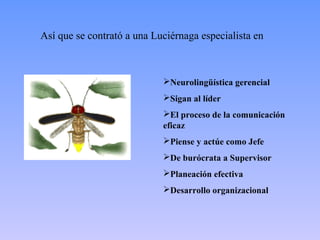 Así que se contrató a una Luciérnaga especialista en



                            Neurolingüística gerencial
                            Sigan al líder
                            El proceso de la comunicación
                            eficaz
                            Piense y actúe como Jefe
                            De burócrata a Supervisor
                            Planeación efectiva
                            Desarrollo organizacional
 