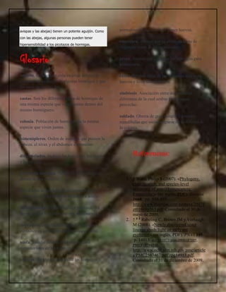 Hormigas
