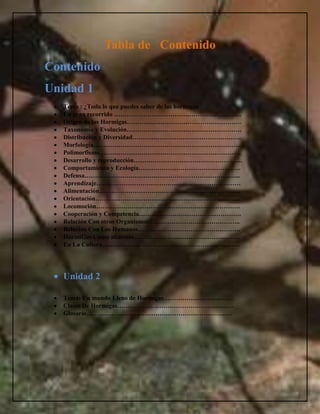 Hormiguero con 25 hormigas vivas para niños (1 tubo de hormigas)