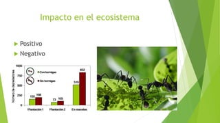 Impacto en el ecosistema
 Positivo
 Negativo
 