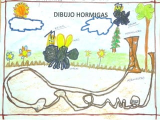 PROYECTO HORMIGAS