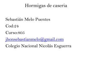 Hormigas de caseria
Sebastián Melo Puentes
Cod:24
Curso:805
jhonsebastianmelo@gmail.com
Colegio Nacional Nicolás Esguerra
 