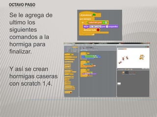 OCTAVO PASO
Se le agrega de
ultimo los
siguientes
comandos a la
hormiga para
finalizar.
Y así se crean
hormigas caseras
con scratch 1,4.
 