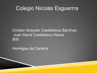 Colegio Nicolás Esguerrra
Cristian Sneyder Castellanos Sánchez
Juan David Castiblanco Navia
805
Hormigas de Cacería
 