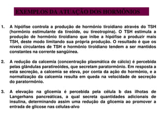 1. A hipófise controla a produção de hormônio tiroidiano através do TSH
(hormônio estimulante da tireóide, ou tireotropina). O TSH estimula a
produção de hormônio tiroidiano que inibe a hipófise a produzir mais
TSH, deste modo limitando sua própria produção. O resultado é que os
níveis circulantes de TSH e hormônio tiroidiano tendem a ser mantidos
constantes na corrente sangüínea.
2. A redução da calcemia (concentração plasmática de cálcio) é percebida
pelas glândulas paratireóides, que secretam paratormônio. Em resposta a
esta secreção, a calcemia se eleva, por conta da ação do hormônio, e a
normalização da calcemia resulta em queda na velocidade de secreção
do paratormônio.
3. A elevação na glicemia é percebida pela célula b das ilhotas de
Langerhans pancreáticas, a qual secreta quantidades adicionais de
insulina, determinando assim uma redução da glicemia ao promover a
entrada de glicose nas células-alvo
EXEMPLOS DA ATUAÇÃO DOS HORMÕNIOS
 