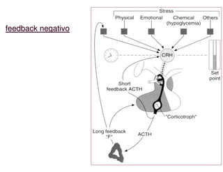 feedback negativo
feedback negativo
 