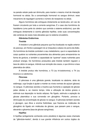 na parede celular pode ser diminuído, para manter o mesmo nível de interação
hormonal na célula. Se a concentração hormonal no sangue diminuir, esse
mecanismo de regulagem aumenta o número de receptores na célula.
       Alguns hormônios são entregues diretamente ao tecido-alvo, em vez de
ficarem circulando por toda a corrente sangüínea. É o caso dos hormônios do
hipotálamo (uma parte do cérebro que controla o sistema endócrino), que são
entregues diretamente à vizinha glândula hipófise, onde suas concentrações
são centenas de vezes mais elevadas que no sistema circulatório.
       Glândulas Endócrinas
       Tireóide
       A tireóide é uma glândula pequena que fica localizada na região anterior
do pescoço, em frente à passagem do ar (traquéia) e abaixo do pomo-de-Adão.
Os hormônios da tireóide controlam o seu metabolismo, que é a capacidade do
corpo quebrar os nutrientes provenientes dos alimentos para armazená-los na
forma de gordura, e também a capacidade de “queimar” esses nutrientes para
produzir energia. Os hormônios produzidos pela tireóide também regulam a
taxa de cálcio no sangue, inibindo sua remoção dos ossos, o que diminui a taxa
plasmática de cálcio.
       A tireóide produz três hormônios, o T3 (ou tri-iodotironina), o T4 (ou
tiroxina) e a calcitonina.
       Pâncreas
       O pâncreas é uma glândula grande, localizada no abdome, atrás do
estômago, cuja função é ajudar a manter os níveis normais de açúcar (glicose)
no sangue. O pâncreas secreta a insulina que Aumenta a captação de glicose
pelas células e, ao mesmo tempo, inibe a utilização de ácidos graxos e
estimula sua deposição no tecido adiposo. No fígado, estimula a captação da
glicose plasmática e sua conversão em glicogênio. Portanto, provoca a
diminuição da concentração de glicose no sangue. O pâncreas também secreta
o glucagon, que Ativa a enzima fosforilase, que fraciona as moléculas de
glicogênio do fígado em moléculas de glicose, que passam para o sangue,
elevando a glicemia (taxa de glicose sangüínea).
       Hipófise
A hipófise (antigamente conhecida como pituitária) é algumas vezes chamada
de “glândula-mestra”, devido à sua grande influência em outros órgãos do
 