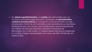  No sistema genital feminino, os ovários são estimulados por um 
hormônio produzido pela placenta, chamado de gonadotrofina 
coriônica humana (HCG), e começam a funcionar ainda na fase 
embrionária. O HCG é um hormônio muito semelhante ao hormônio 
luteinizante (LH). Ao nascer, uma mulher possui aproximadamente 
um milhão de folículos primários, também chamados de 
primordiais, em cada ovário. A maioria desses folículos se degenera 
e a mulher chega à puberdade com cerca de 400 mil folículos em 
cada ovário. 
 