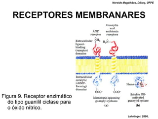 Nereide Magalhães, DBioq, UFPE




    RECEPTORES MEMBRANARES




Figura 9. Receptor enzimático
   do tipo guanilil ciclase para
   o óxido nítrico.
                                              Lehninger, 2000.
 