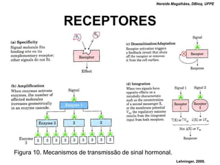 Nereide Magalhães, DBioq, UFPE




                 RECEPTORES




Figura 10. Mecanismos de transmissão de sinal hormonal.
                                                           Lehninger, 2000.
 