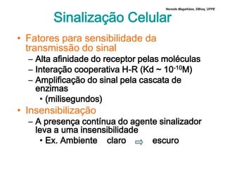 Sinalização Celular
                                     Nereide Magalhães, DBioq, UFPE




• Fatores para sensibilidade da
  transmissão do sinal
  – Alta afinidade do receptor pelas moléculas
  – Interação cooperativa H-R (Kd ~ 10-10M)
  – Amplificação do sinal pela cascata de
    enzimas
     • (milisegundos)
• Insensibilização
  – A presença contínua do agente sinalizador
    leva a uma insensibilidade
     • Ex. Ambiente claro       escuro
 