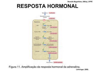 Nereide Magalhães, DBioq, UFPE


      RESPOSTA HORMONAL




Figura 11. Amplificação da resposta hormonal da adrenalina.
                                                          Lehninger, 2000.
 