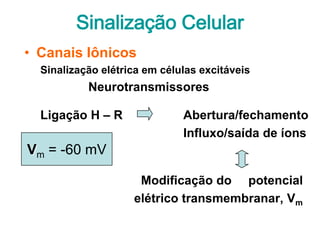 Sinalização Celular
• Canais Iônicos
  Sinalização elétrica em células excitáveis
           Neurotransmissores

  Ligação H – R               Abertura/fechamento
                              Influxo/saída de íons
Vm = -60 mV

                     Modificação do potencial
                    elétrico transmembranar, Vm
 