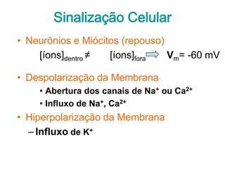 Sinalização Celular
• Neurônios e Miócitos (repouso)
    [íons]dentro ≠  [íons]fora   Vm= -60 mV

• Despolarização da Membrana
    • Abertura dos canais de Na+ ou Ca2+
    • Influxo de Na+, Ca2+
• Hiperpolarização da Membrana
  – Influxo de K+
 