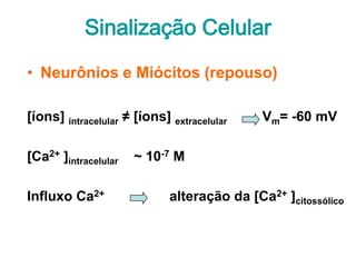 Sinalização Celular
• Neurônios e Miócitos (repouso)

[íons] intracelular ≠ [íons] extracelular    Vm= -60 mV

[Ca2+ ]intracelular   ~ 10-7 M

Influxo Ca2+                 alteração da [Ca2+ ]citossólico
 