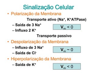 Sinalização Celular
• Polarização da Membrana
           Transporte ativo (Na+, K+ATPase)
  – Saída de 3 Na+
                              Vm < 0
  – Influxo 2 K+
                 Transporte passivo
• Despolarização da Membrana
  – Influxo de 3 Na+
                            Vm ~ 0
  – Saída de Cl-
• Hiperpolarização da Membrana
  – Saída de K+
                            Vm < 0
 