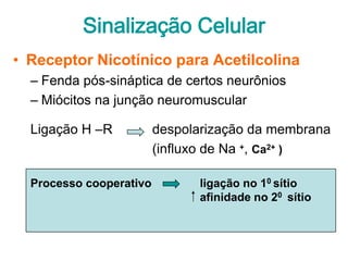 Sinalização Celular
• Receptor Nicotínico para Acetilcolina
  – Fenda pós-sináptica de certos neurônios
  – Miócitos na junção neuromuscular

  Ligação H –R           despolarização da membrana
                         (influxo de Na +, Ca2+ )

  Processo cooperativo         ligação no 10 sítio
                               afinidade no 20 sítio
 